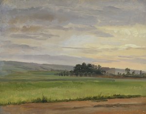 Un campo di grano vicino a Dresda, 1833 da Christian Friedrich Gille