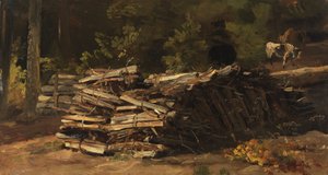 Tedesco: Holzstoß am Waldrand Catasta di legno ai margini della foresta