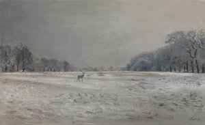 Cervi nella neve - Richmond Park, 2015