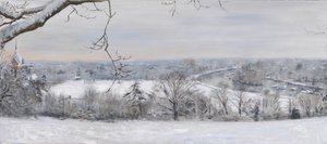 Diamanti bianchi Richmond Hill neve, 2015