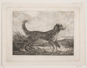 Un cane da Christian Holm