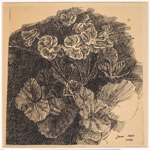 Fiori