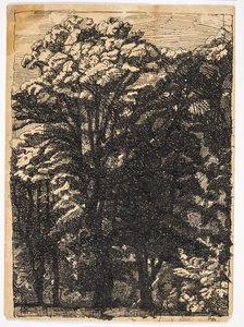 Alberi da Christian Kongstad Petersen