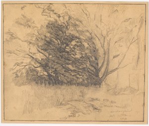 Gruppo di alberi da Christian Kongstad Petersen