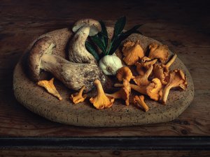 Raccolta rustica di funghi