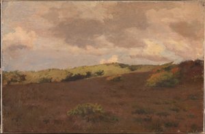 Paesaggio di brughiera. Autunno