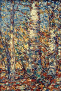 Bosco di betulle