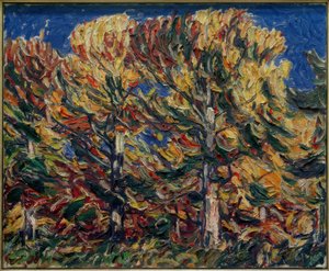 Bosco autunnale