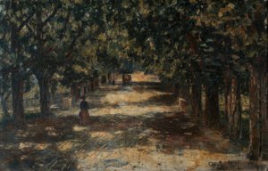 Viale di castagni verso Belvedere