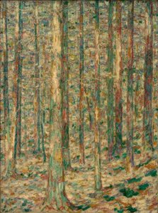Tronchi di pino alla luce del sole da Christian Rohlfs