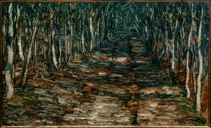 Sentiero nel bosco verso Erling