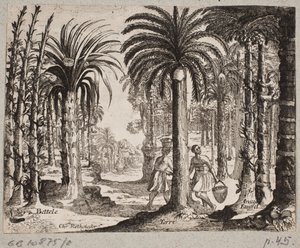 Palmeto con palme da betel da Christian Rothgiesser