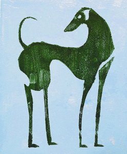 Elegante cane del deserto