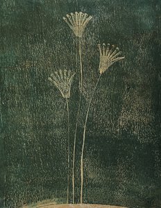 Fiori verdi