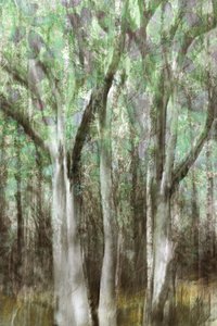 Astratto: Serenità del bosco da Christina Sillen