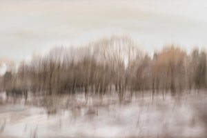 Riflesso sfocato nella foresta