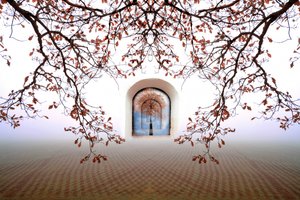 Arco autunnale da sogno