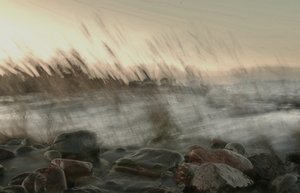 Un movimento costiero da sogno