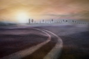 Una strada di campagna avvolta nella nebbia, da sogno da Christina Sillen