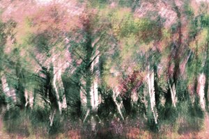 Sogno nella foresta eterea da Christina Sillen