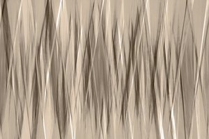 Linee neutre e fluide da Christina Sillen