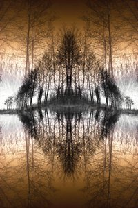 Il lago della foresta specchiata da Christina Sillen