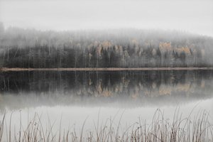 Il lago autunnale avvolto nella nebbia