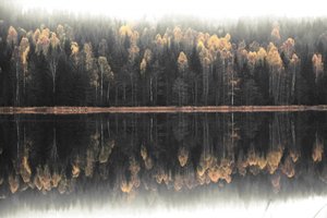 Riflesso autunnale nella nebbia da Christina Sillen