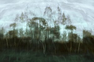 Il sogno della foresta nebbiosa da Christina Sillen