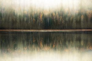 Riflesso nella foresta nebbiosa da Christina Sillen