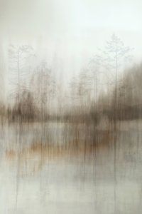 Riflessi nella foresta nebbiosa da Christina Sillen
