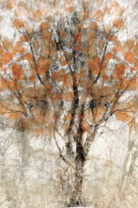 Albero autunnale con texture