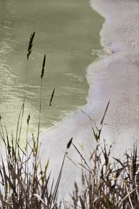 Erba tranquilla in riva al mare da Christina Sillen