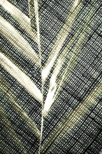 Texture foglia traslucida