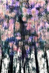Sogni di una foresta vivace da Christina Sillen