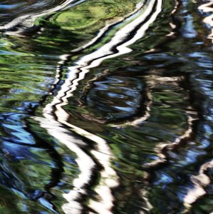 Riflessi vivaci sull