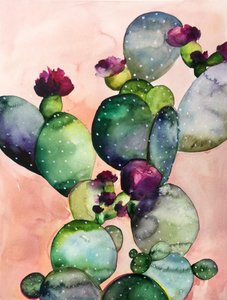 Fiori colorati di cactus da Christine Lindstrom