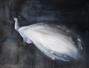 Pavone bianco etereo da Christine Lindstrom