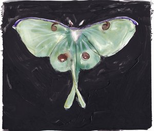 Falena verde della Luna da Christine Lindstrom