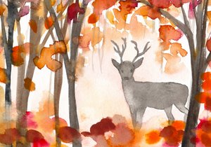 Cervo autunnale avvolto nella nebbia da Christine Lindstrom