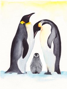 Ritratto di famiglia di pinguini da Christine Lindstrom