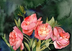 Fiori rosa dipinti ad acquerello da Christine Lindstrom