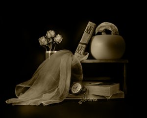 Memento Mori - Natura morta da Christine SUISSIA