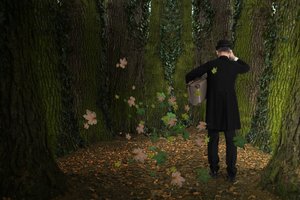 Il viaggio di un uomo nella foresta da Christine von Diepenbroek