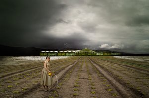 Il giardiniere solitario Stormy Field da Christine von Diepenbroek