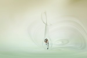 La ballerina stravagante delle bolle