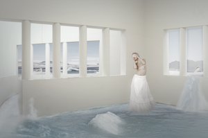 Una donna nella stanza artica da Christine von Diepenbroek
