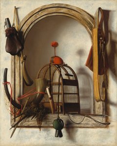 Nicchia con attrezzatura per falconeria