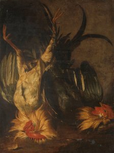 Galli morti