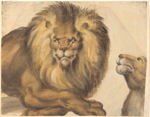 Parte anteriore di un leone maschio e testa di una leonessa